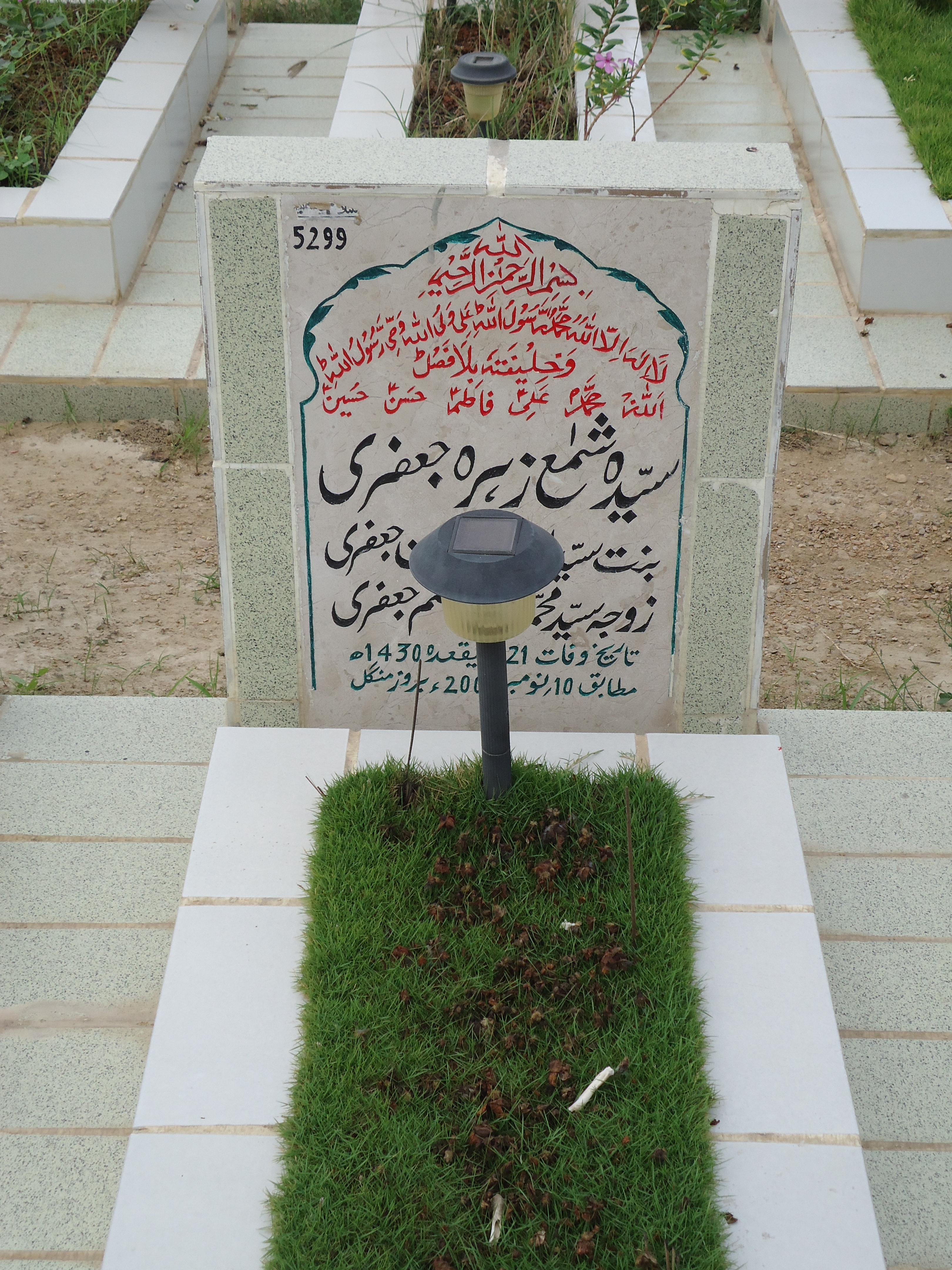 5299 – Syeda Shama Zehra Jaffery